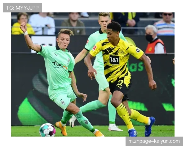 斯图加特青春风暴进攻犀利 21岁埃尔哈努斯梅开二度闪耀